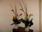Huse de scaune / Fete de masa - 223_-_95_RON__buc.