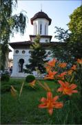 Chiese / Monasteri BISERICA SFANTUL STEFAN - Calarasi