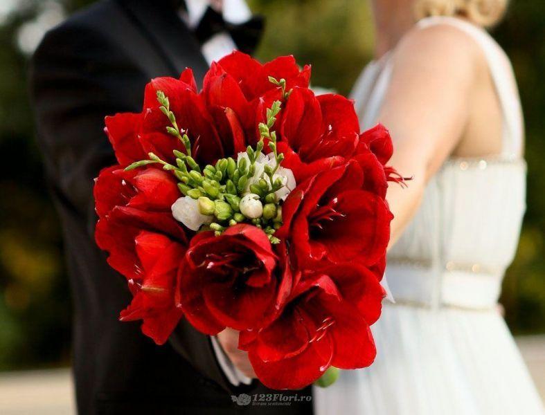  Buchet de mireasa cu amaryllis 