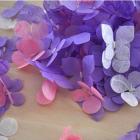 Cel mai frumos confetti pentru nunta ta: fluturasii