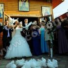 Porumbei pentru nunta