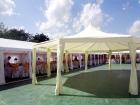 Wedding tents Wiss Marriage