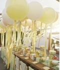 baloane-nunti_2_decor-13