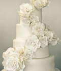combinatii-culori-nunta-alb-buchete-flori-decoratiuni33