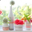 DIY sau cum puteti transforma borcanele de dulceata si muraturi in decoratiuni de nunta